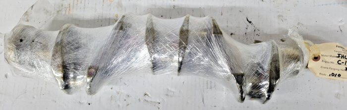 Farmland - 367745R91 Crankshaft