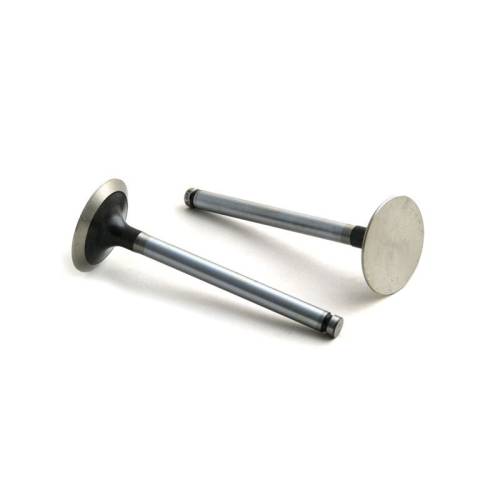 M3142L072 - Massey Ferguson INTAKE VALVE