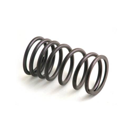 M31745121 - Massey Ferguson, Caterpillar, Versatile, Ford New Holland, Bobcat VALVE SPRING