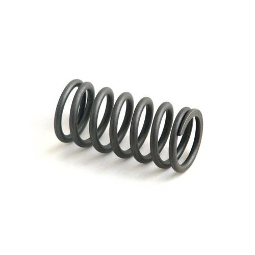 R49569 - For John Deere VALVE SPRING