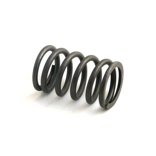 R49571 - For John Deere VALVE SPRING